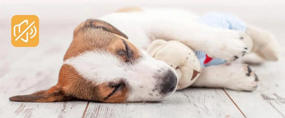 Ponceuse à ongles rechargeable pour chien