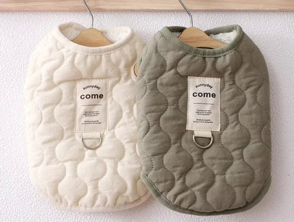 Veston élégant et minimaliste d'hiver