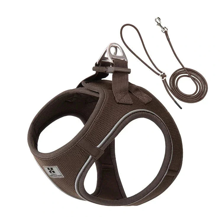 Harnais/Laisse chien ajustable fun