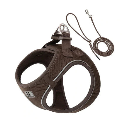 Harnais/Laisse chien ajustable fun