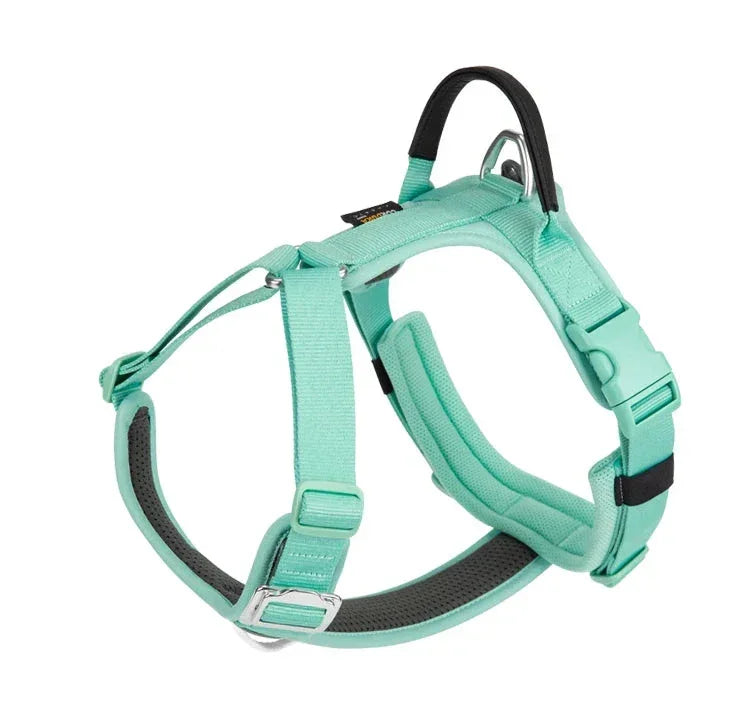 Harnais chien "Squelette" léger