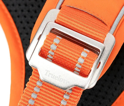 Harnais chien ergonomie et sécurité