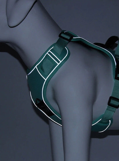 Harnais/Laisse sécurité 2.0 avec coque AirTag compatible