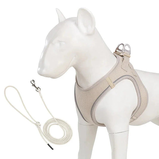 Harnais/Laisse chien ajustable fun