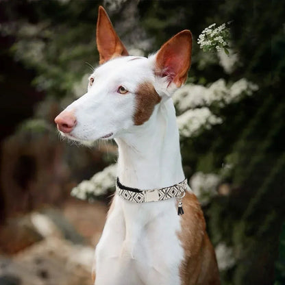 Collier chien/chat bohème luxe