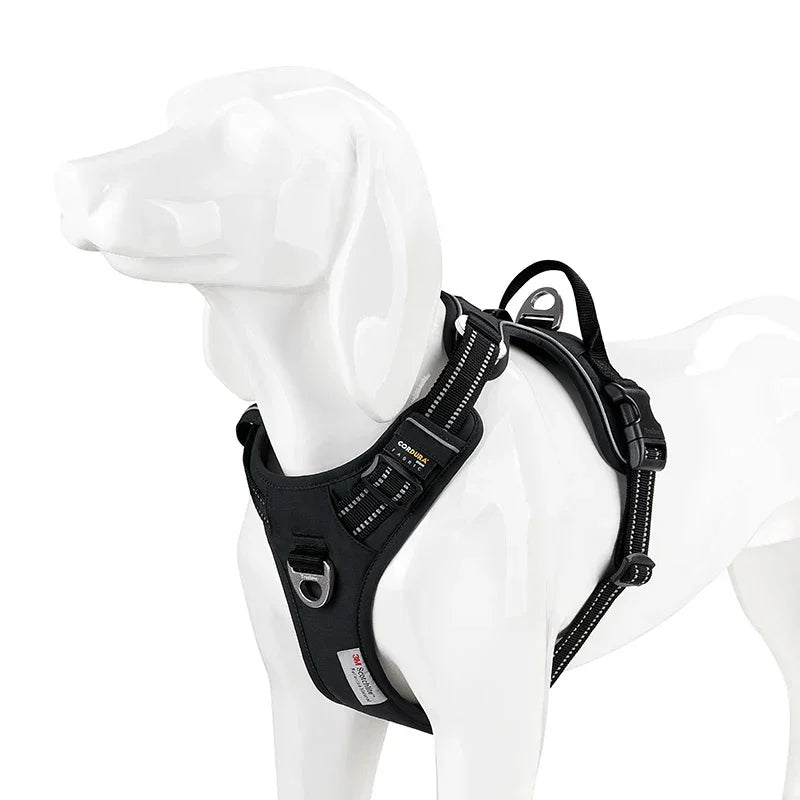 Harnais chien ergonomie et sécurité