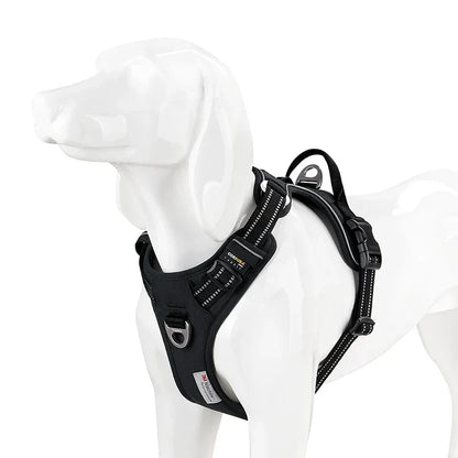 Harnais chien ergonomie et sécurité