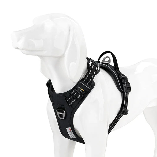 Harnais chien ergonomie et sécurité