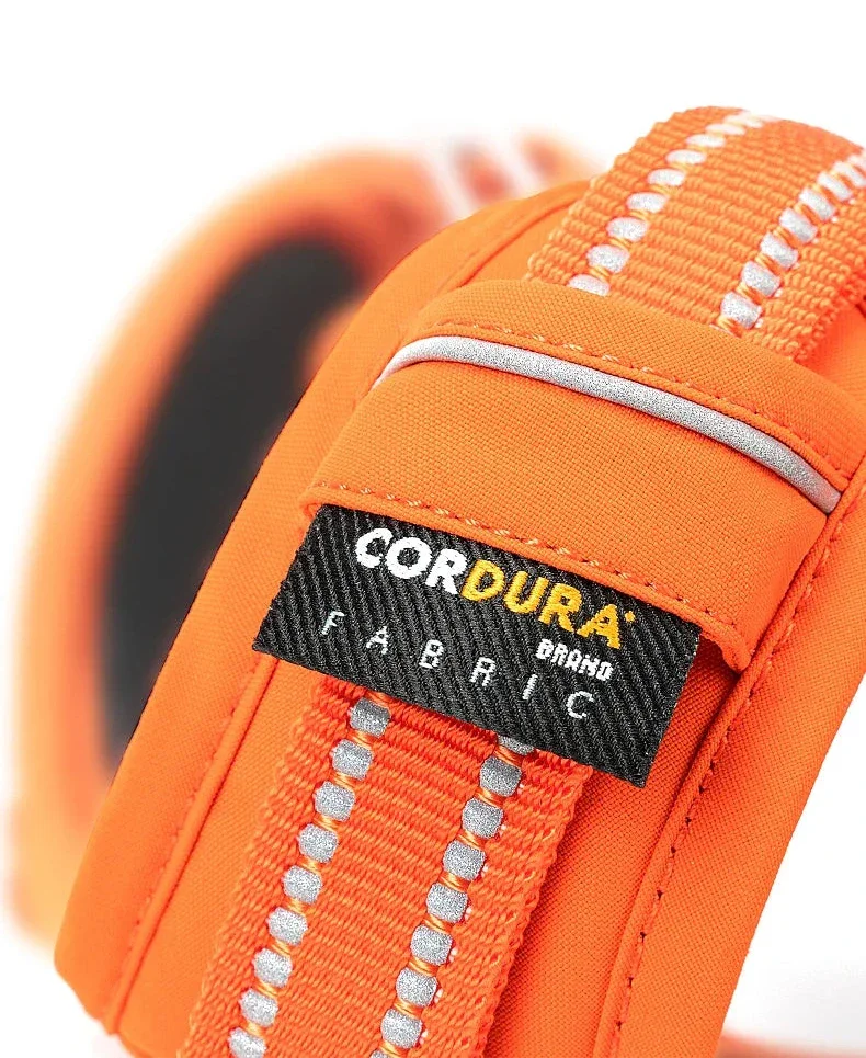 Harnais chien ergonomie et sécurité