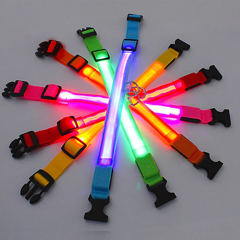 Collier lumineux LED ajustable et rechargeable par USB