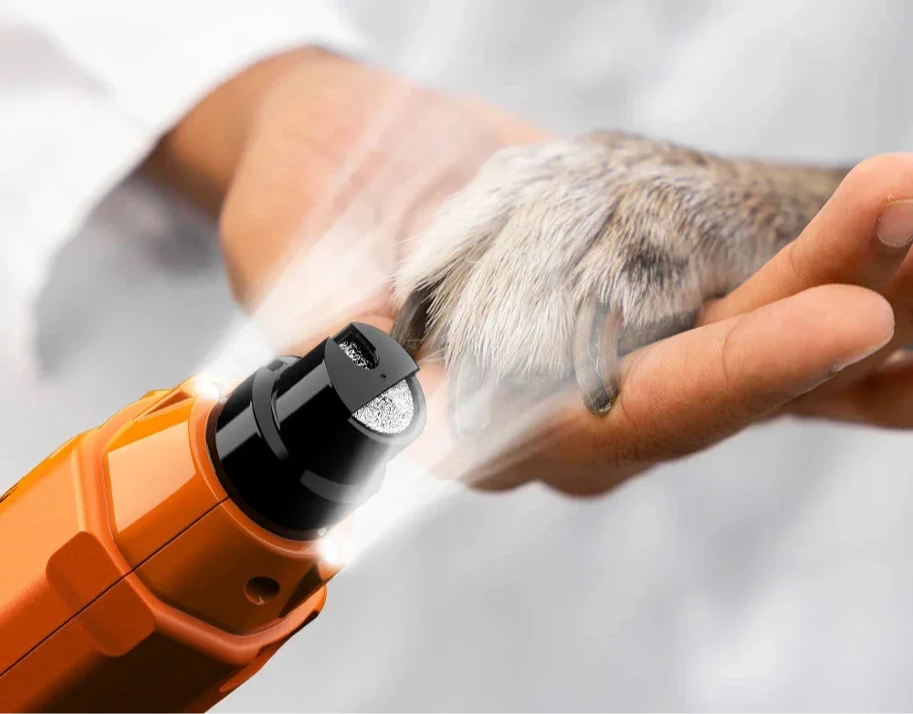 Ponceuse à ongles rechargeable pour chien