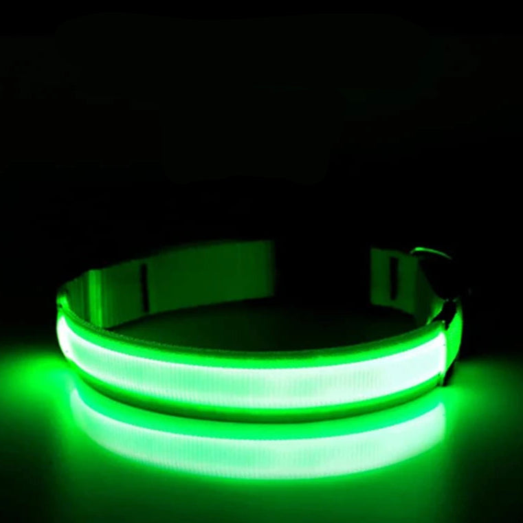 Collier lumineux LED ajustable et rechargeable par USB