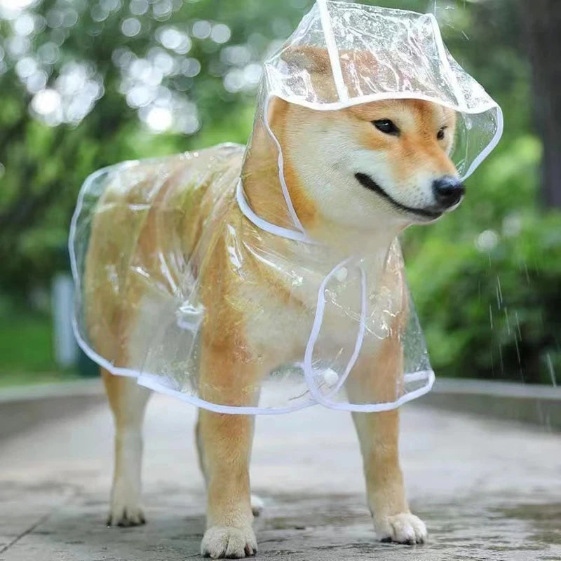 Poncho imperméable transparent avec capuche