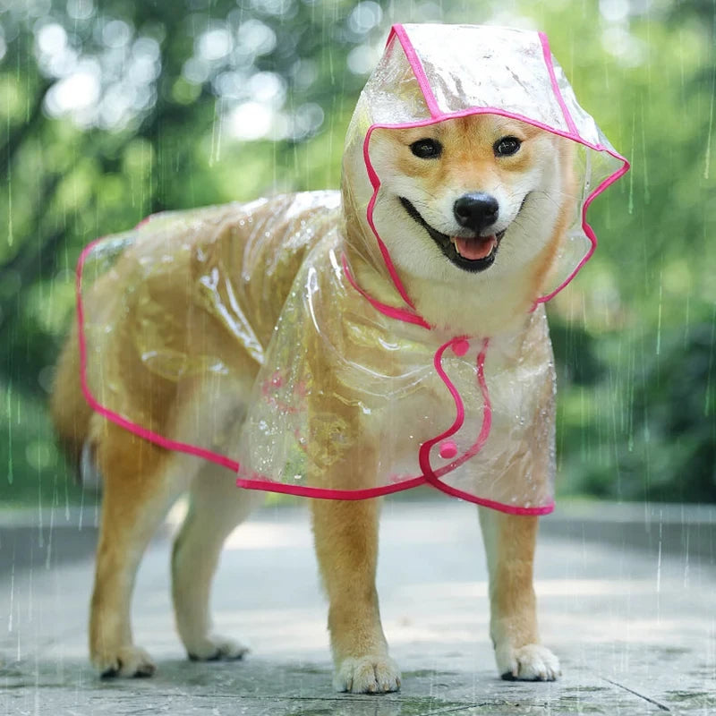 Poncho imperméable transparent avec capuche