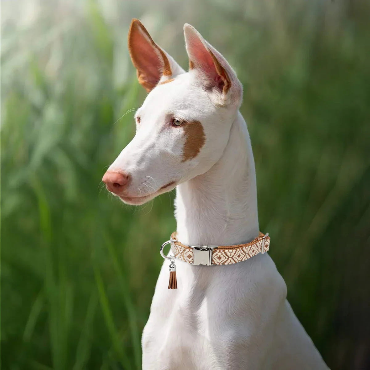 Collier chien/chat bohème luxe