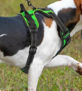 Harnais lumineux LED de sécurité nocturne inspiration sabre laser