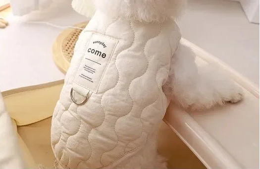 Veston élégant et minimaliste d'hiver